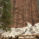 The base of General Sherman, the largest living organism on Earth, wrapped in foil to protect it from the KNP Complex Fire.